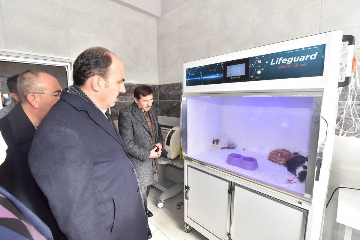 Konya'daki 100 bin metrekarelik barınakta sahipsiz hayvanların yaraları sarılıyor