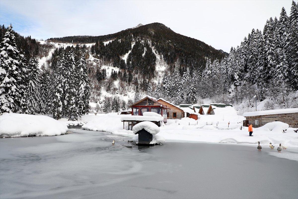 Rize'de beyaza bürünen milli parkta görsel şölen