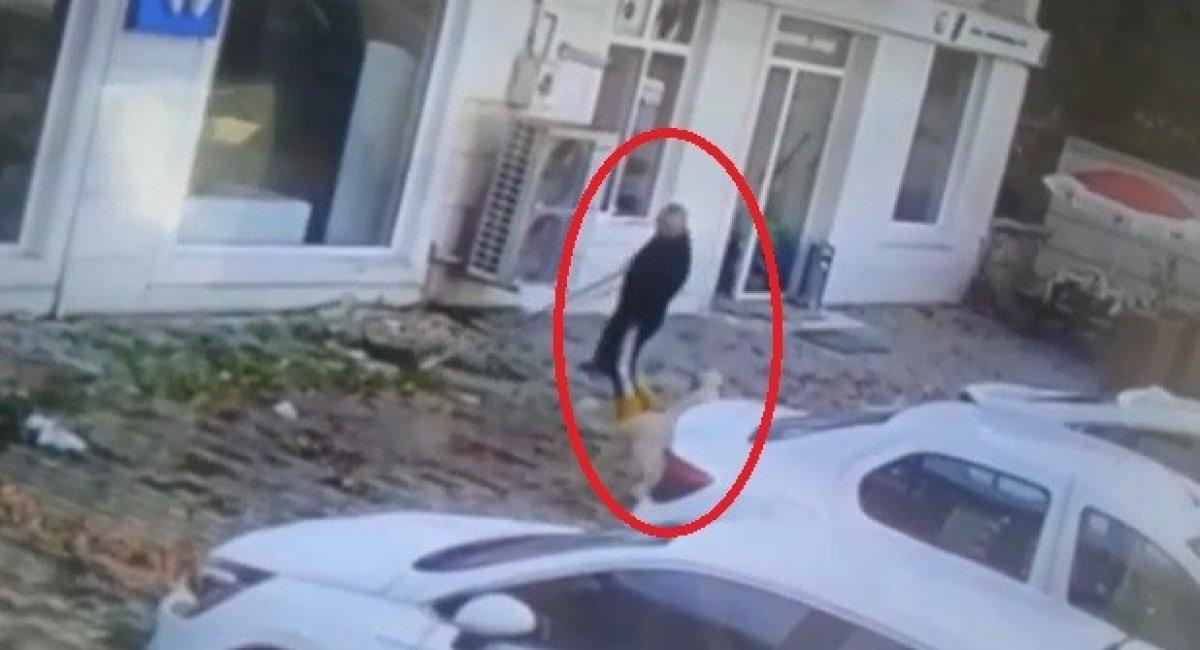 Bursa'da kaldırımı süpürürken köpek ısırdı