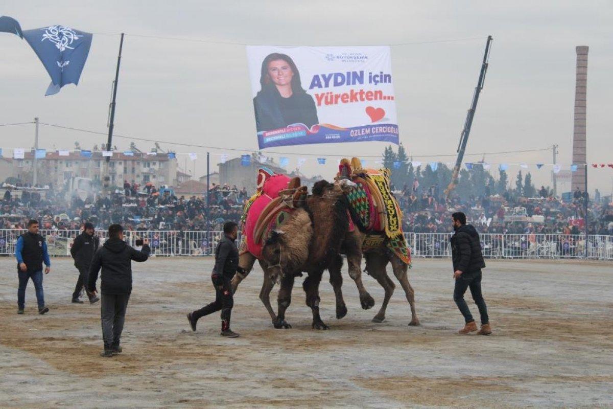 Aydın'daki adamın develere olan ilgisi şaşırttı