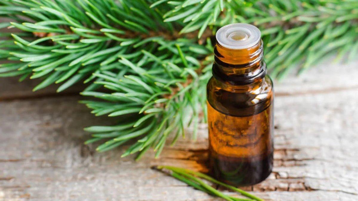 Kelliğin doğal çaresi: Çam terebentin yağı faydaları