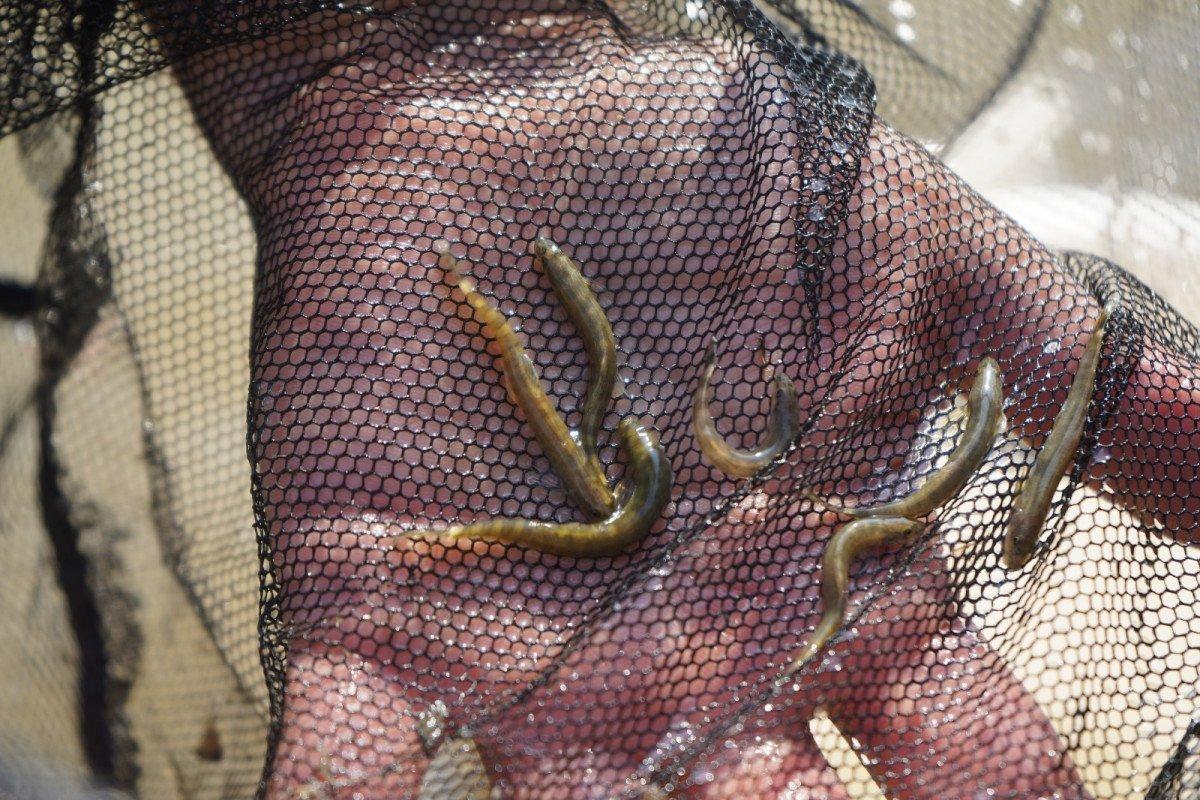 Leonardo DiCaprio’dan Batman Sason Çayı paylaşımı