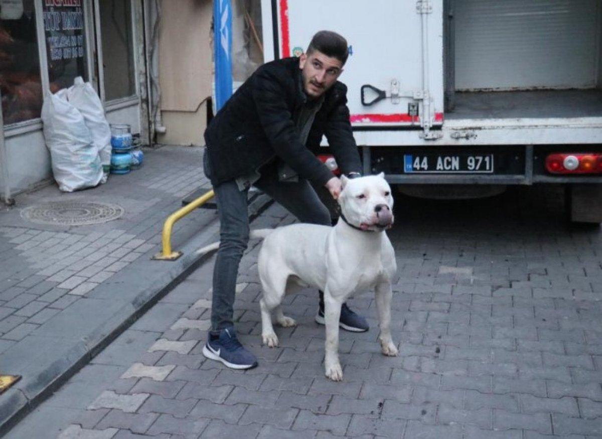 Malatya'da kavga ettikleri şahsın üzerine pitbull saldılar