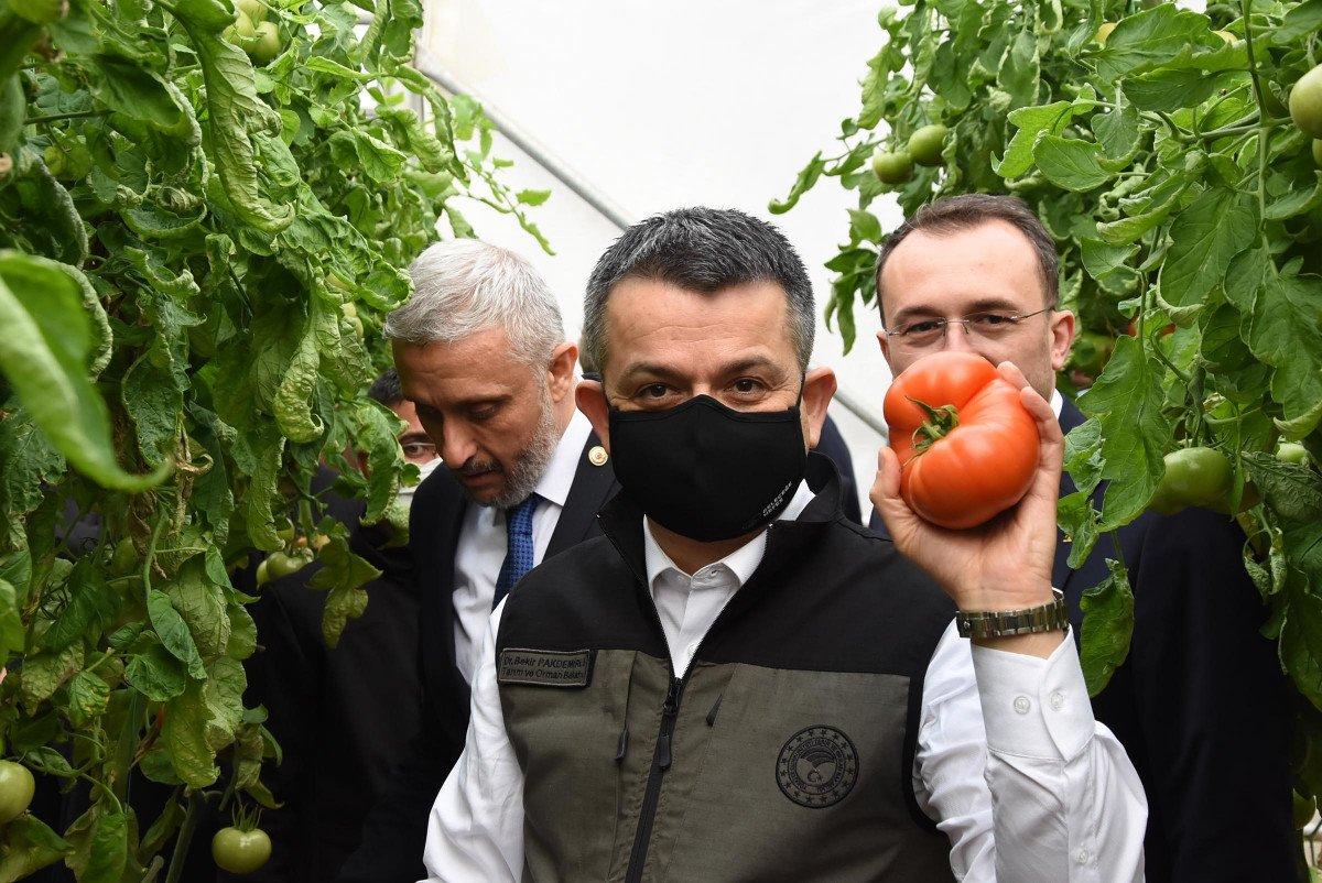 Bekir Pakdemirli: Seralarda üretim arttığında fiyatlardaki dalgalanma azalacak