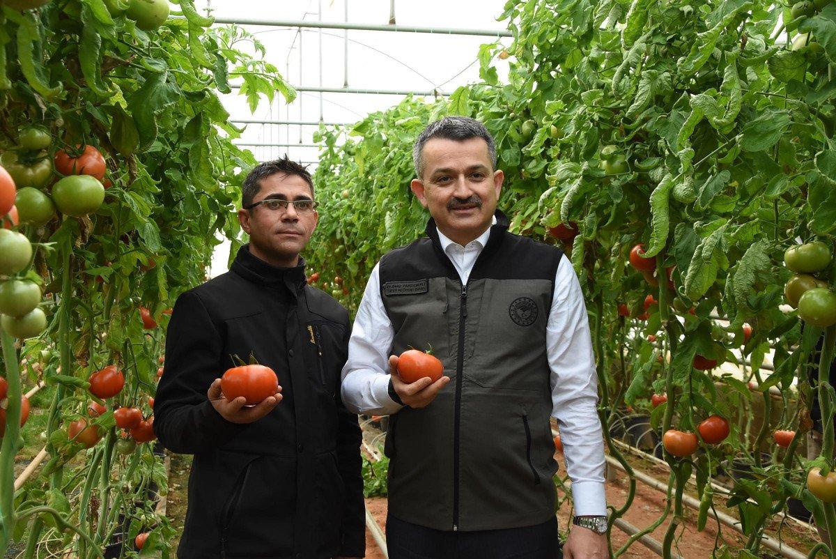 Bekir Pakdemirli: Seralarda üretim arttığında fiyatlardaki dalgalanma azalacak