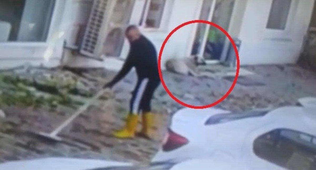 Bursa'da kaldırımı süpürürken köpek ısırdı