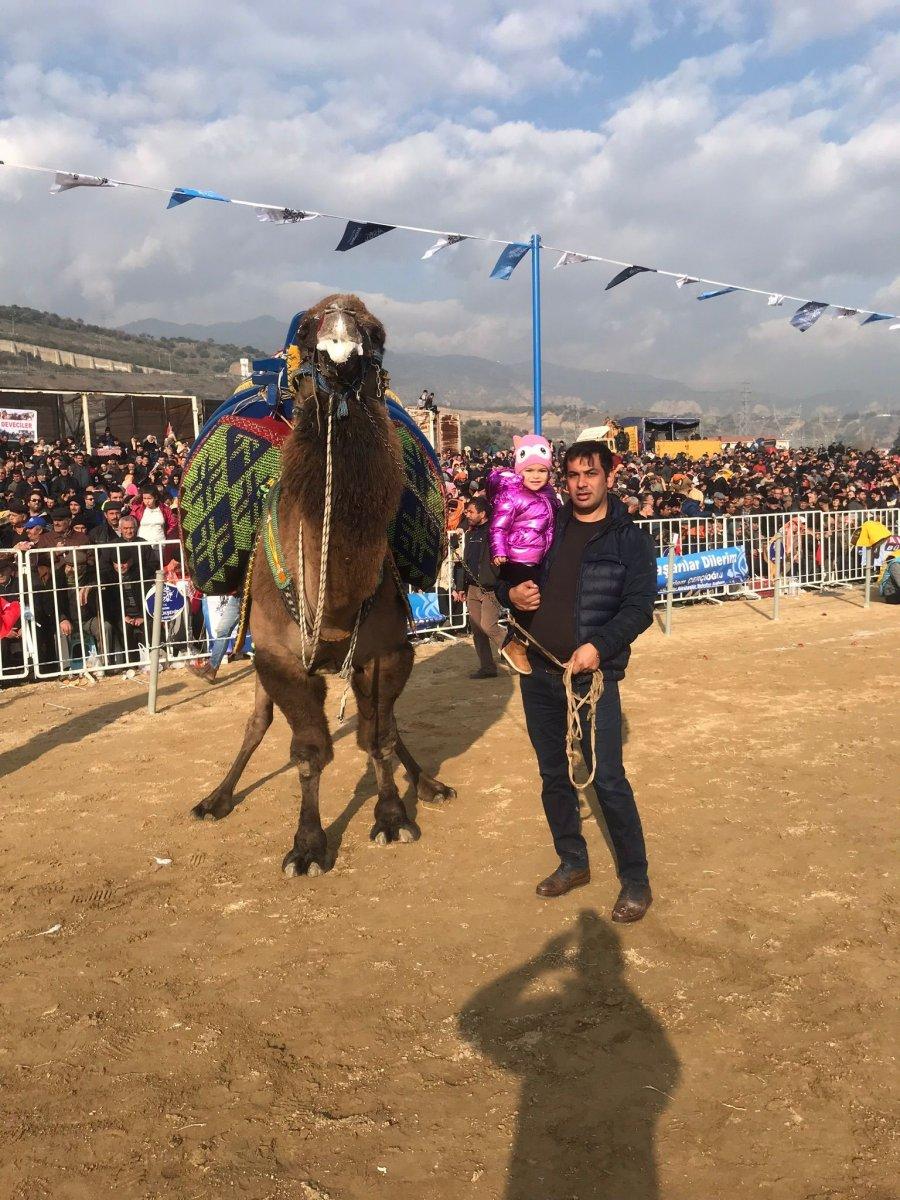 Aydın'daki adamın develere olan ilgisi şaşırttı