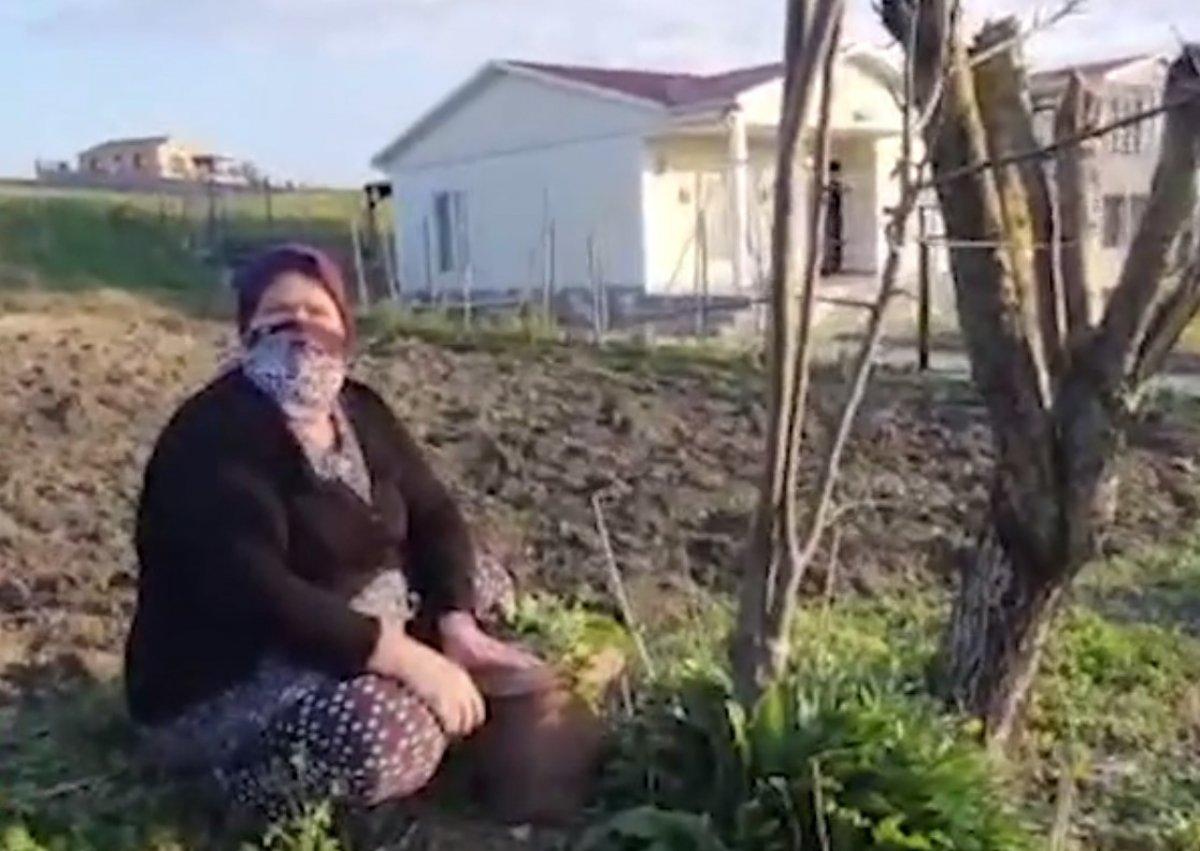 Çatalca’da sokak köpeği tehlikesi