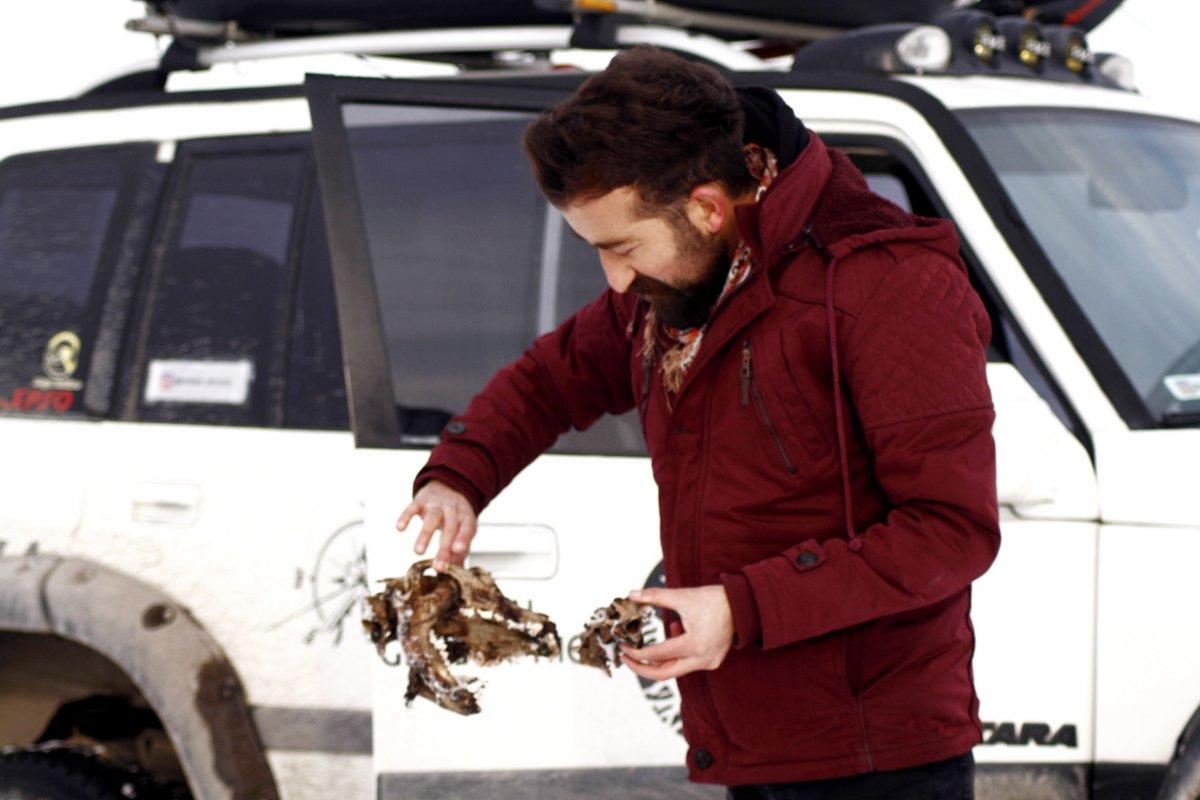 Hakkari'de kurtlar, parçaladıkları köpeğin sadece kafatasını bıraktı