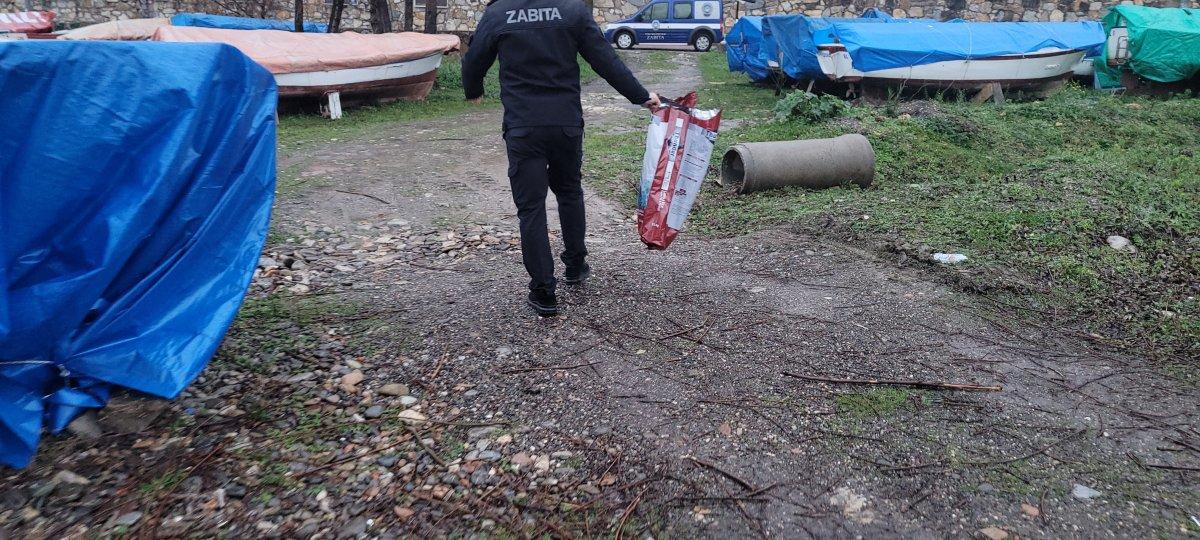 Kastamonu'da kediyi öldürüp deniz kenarına attılar