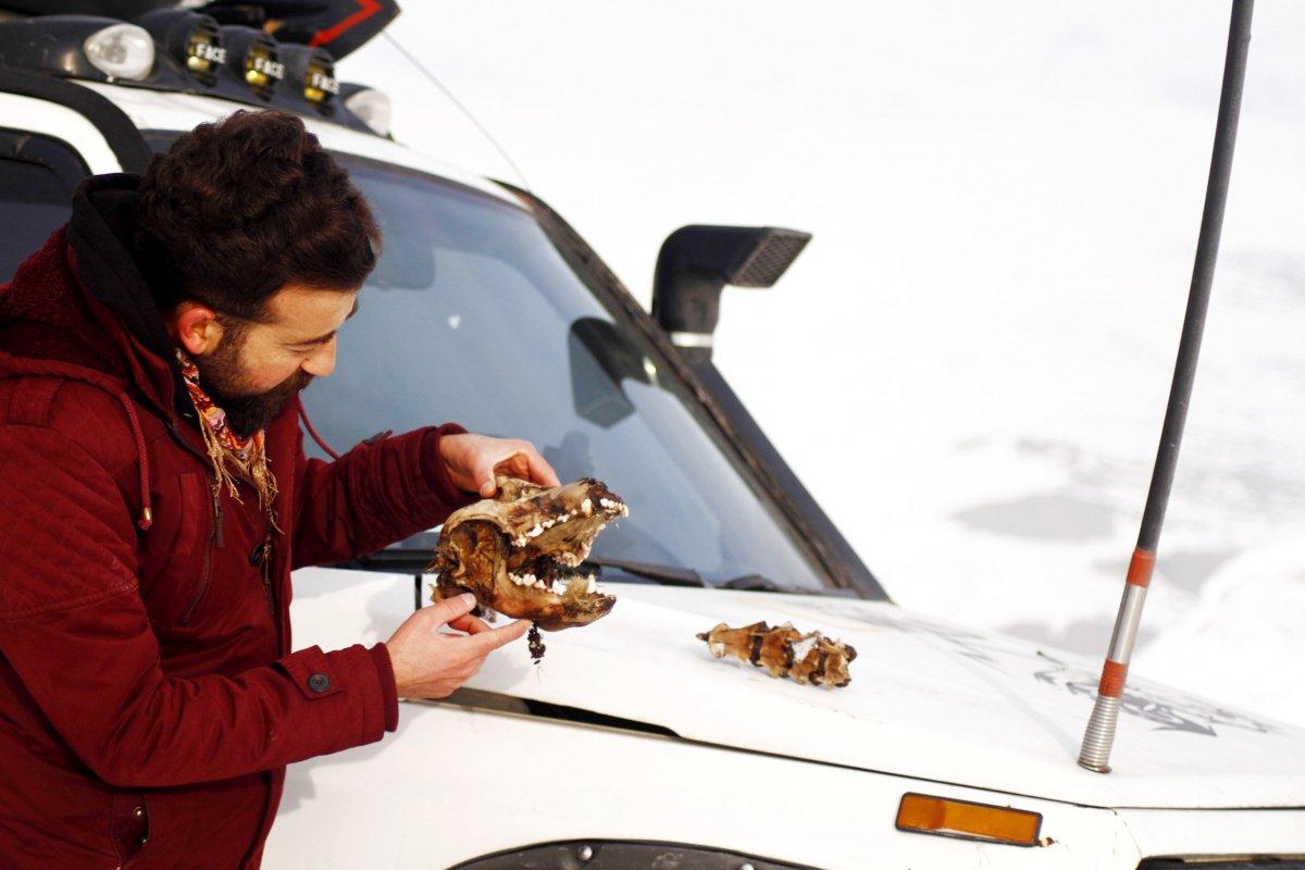 Hakkari'de kurtlar, parçaladıkları köpeğin sadece kafatasını bıraktı