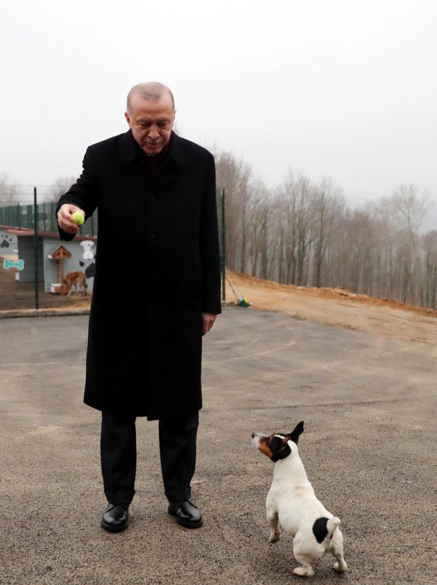 Cumhurbaşkanı Erdoğan, Maylo’yu sahipleneceğini söyledi