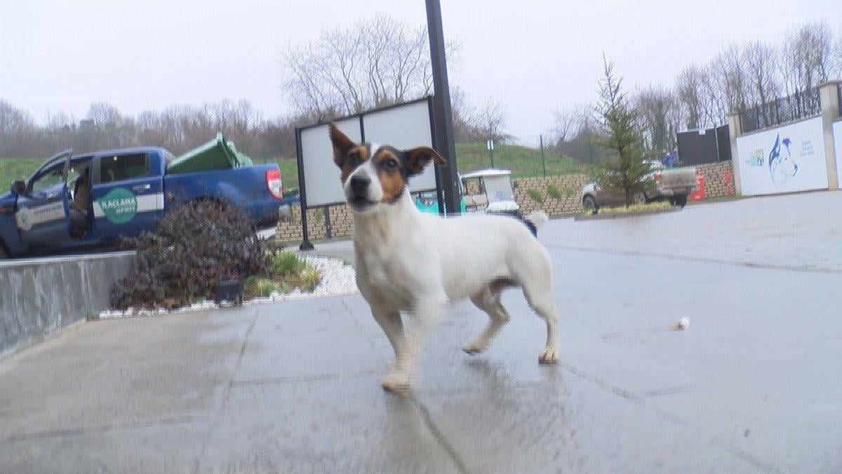 Cumhurbaşkanı Erdoğan, Maylo’yu sahipleneceğini söyledi