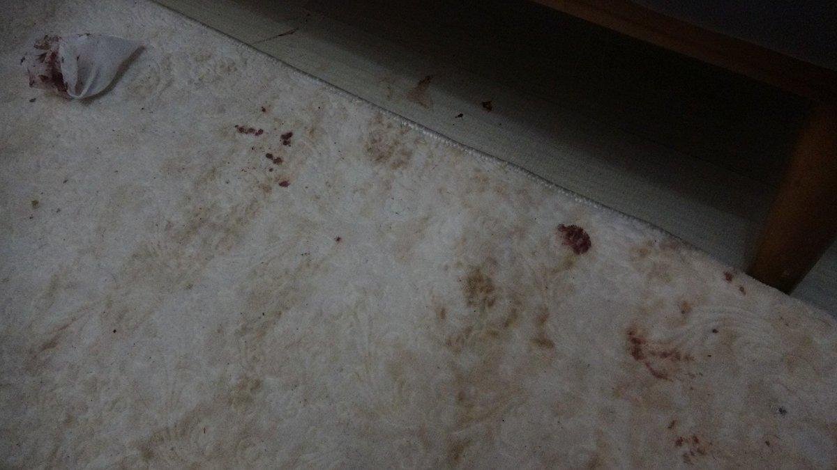 Hatay’da yalnız yaşayan kadın evinde darbedildi