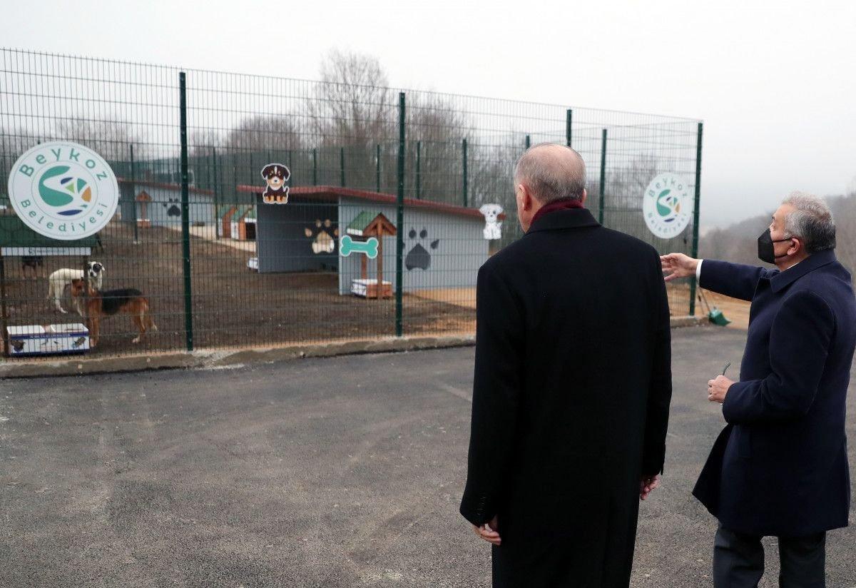 Mustafa Varank'tan Nevşin Mengü'ye: Müzmin muhaliflik dünyanın en amansız hastalığı