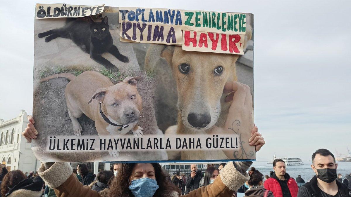 İstanbul'da sokak köpekleri için eylem yaptılar