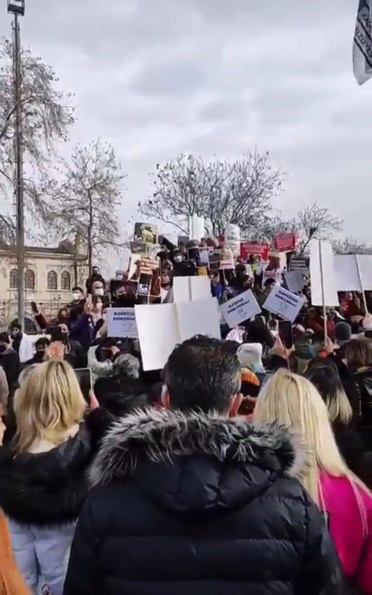 İstanbul'da sokak köpekleri için eylem yaptılar