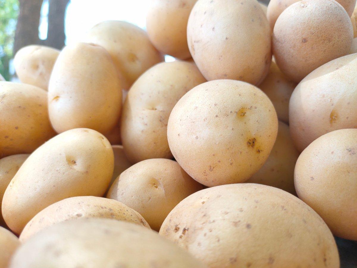 Tekrar ısıtmamanız gereken 7 yiyecek