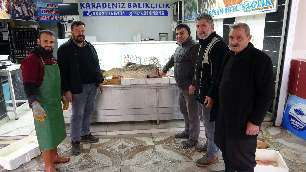 Adıyaman’da dev turna balığı