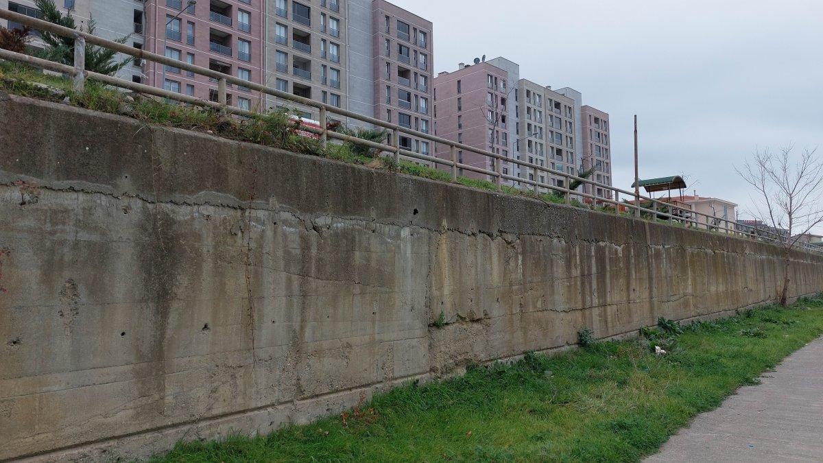 Samsun'da sokak köpeklerinden kaçabilmek için duvardan atladı