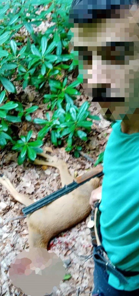 Düzce'de karaca avlayıp sosyal medyada paylaştı: 12 bin lira ceza