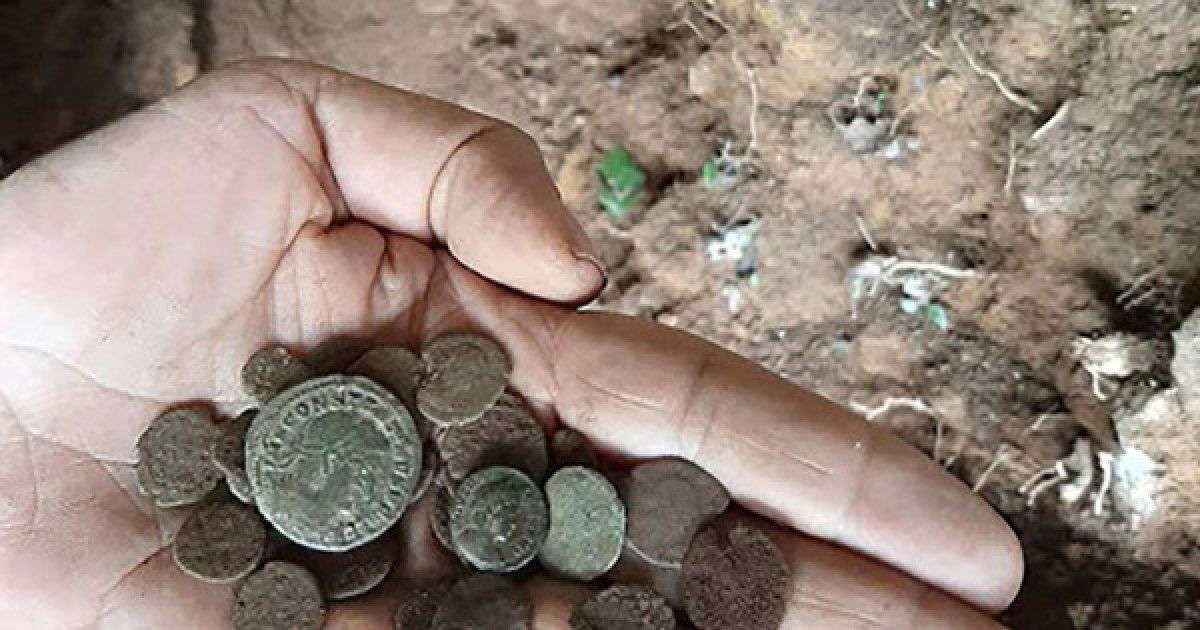 İspanya'da yiyecek arayan porsuk sayesinde tarihi eser keşfedildi