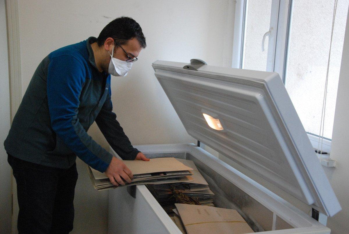 Bolu'da, Yedigöller Milli Parkı’nda yeni bitki türü keşfedildi