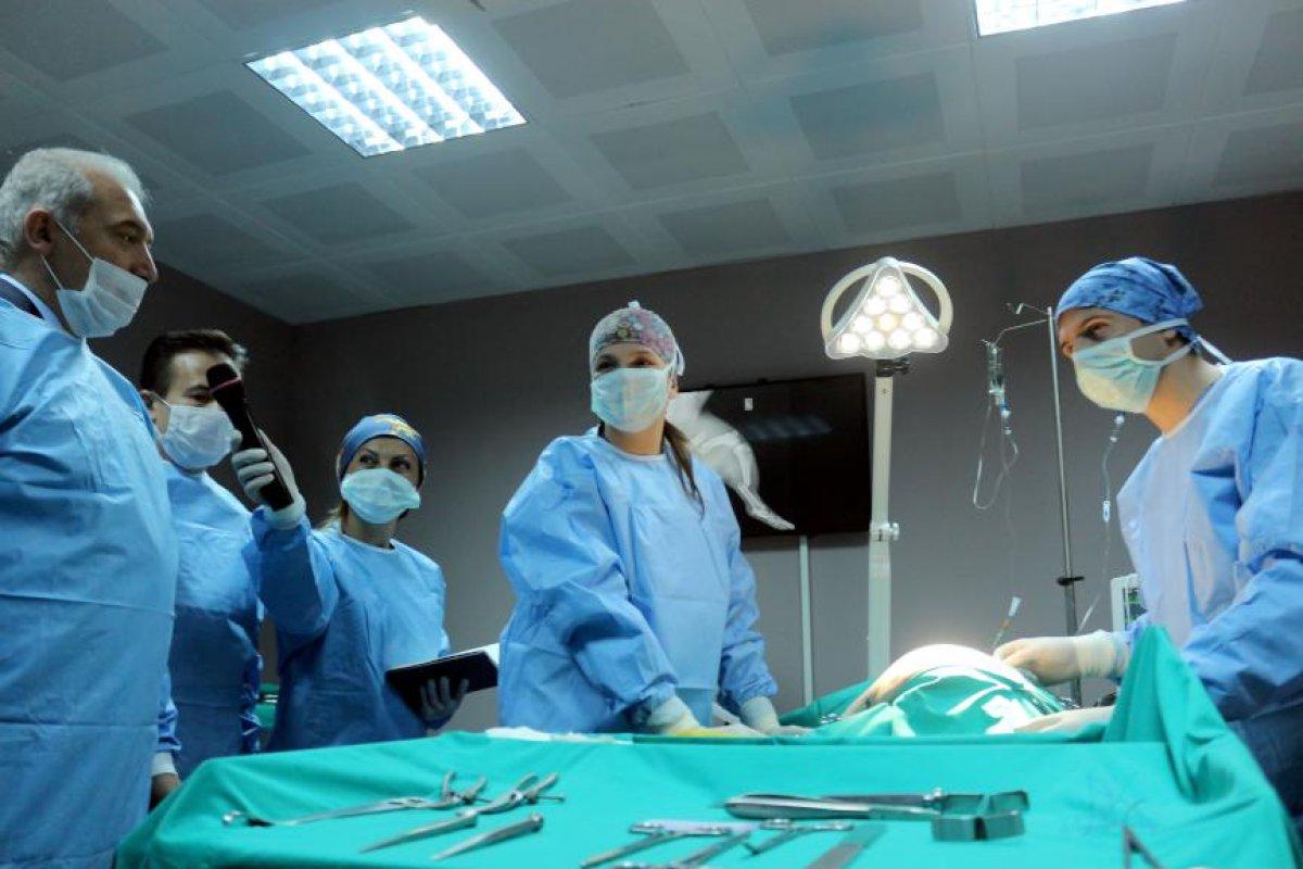 İstanbul'da bulunan hayvan barınaklarının haritası