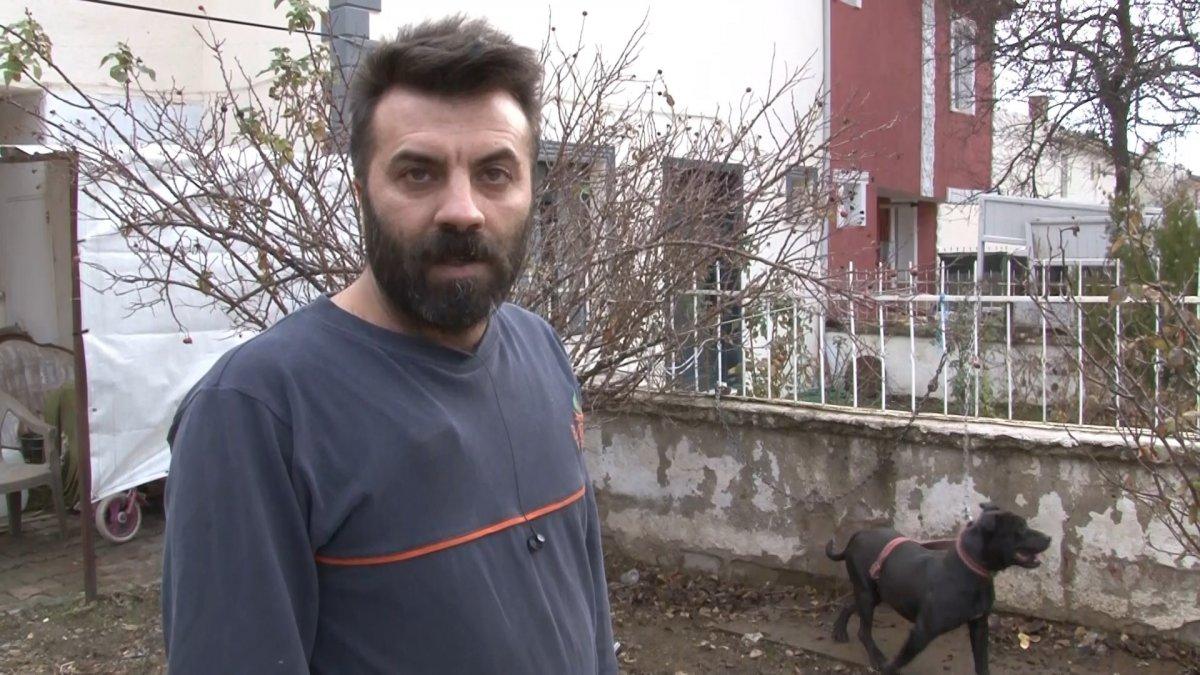 Elazığ'da ceza tutarını duyan pitbull sahibi, köpeğini teslim etti