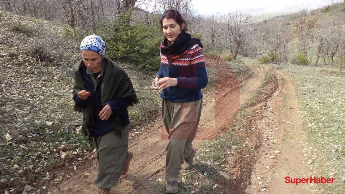 HDP'li Semra Güzel'in PKK'lı teröristlerle çekilen yeni fotoğrafları