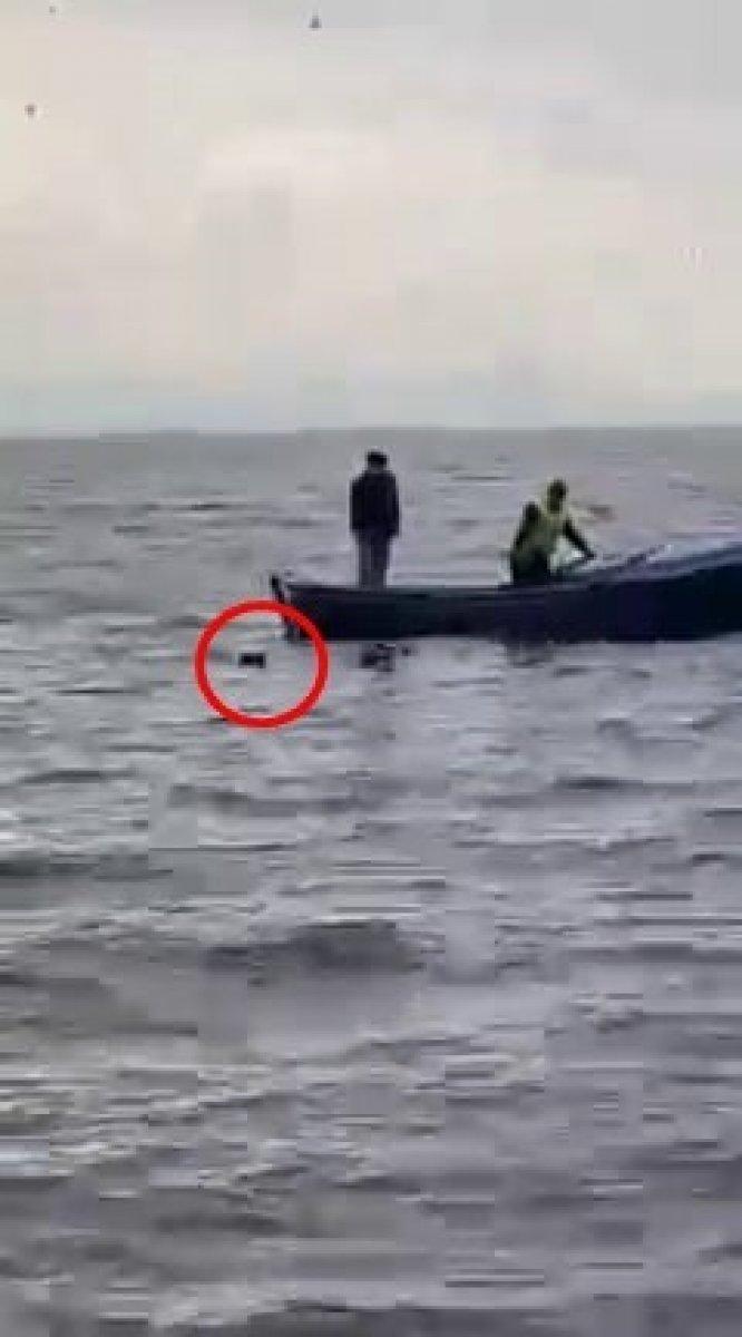 Sakarya'da gölün ortasındaki köpeği balıkçılar kurtardı