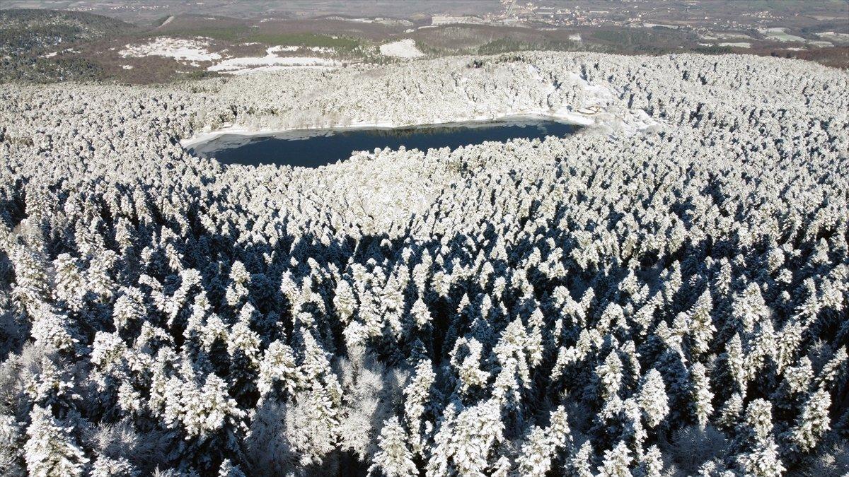 Bolu'da ormanlar karla kaplandı