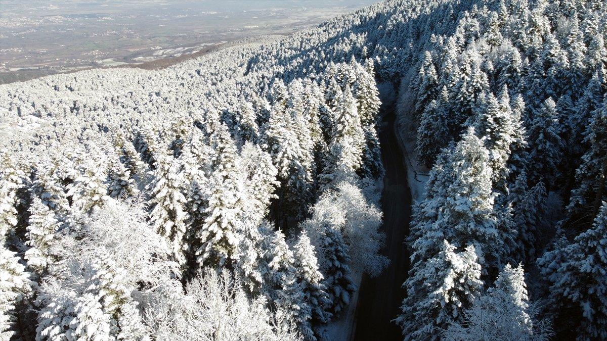 Bolu'da ormanlar karla kaplandı