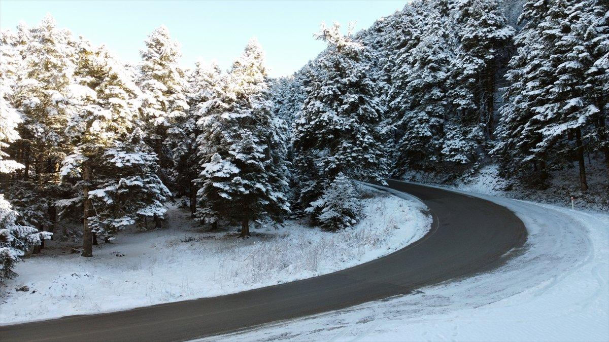 Bolu'da ormanlar karla kaplandı