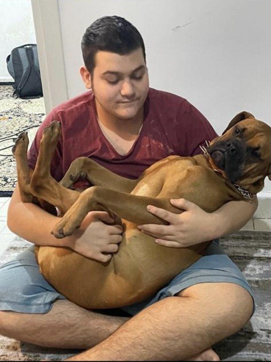 Üsküdar’da, pitbull zannedip otizmli çocuğun köpeğini vurdular