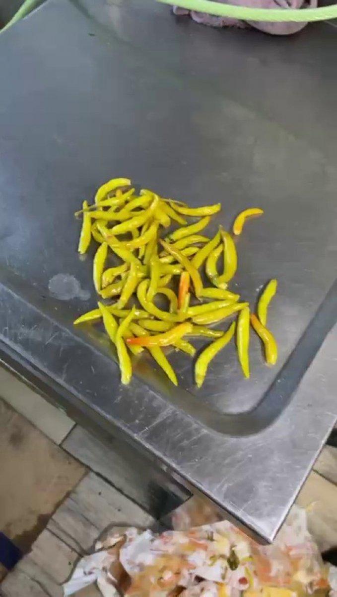 Kadıköy’de tantunicide tepki çeken görüntüler