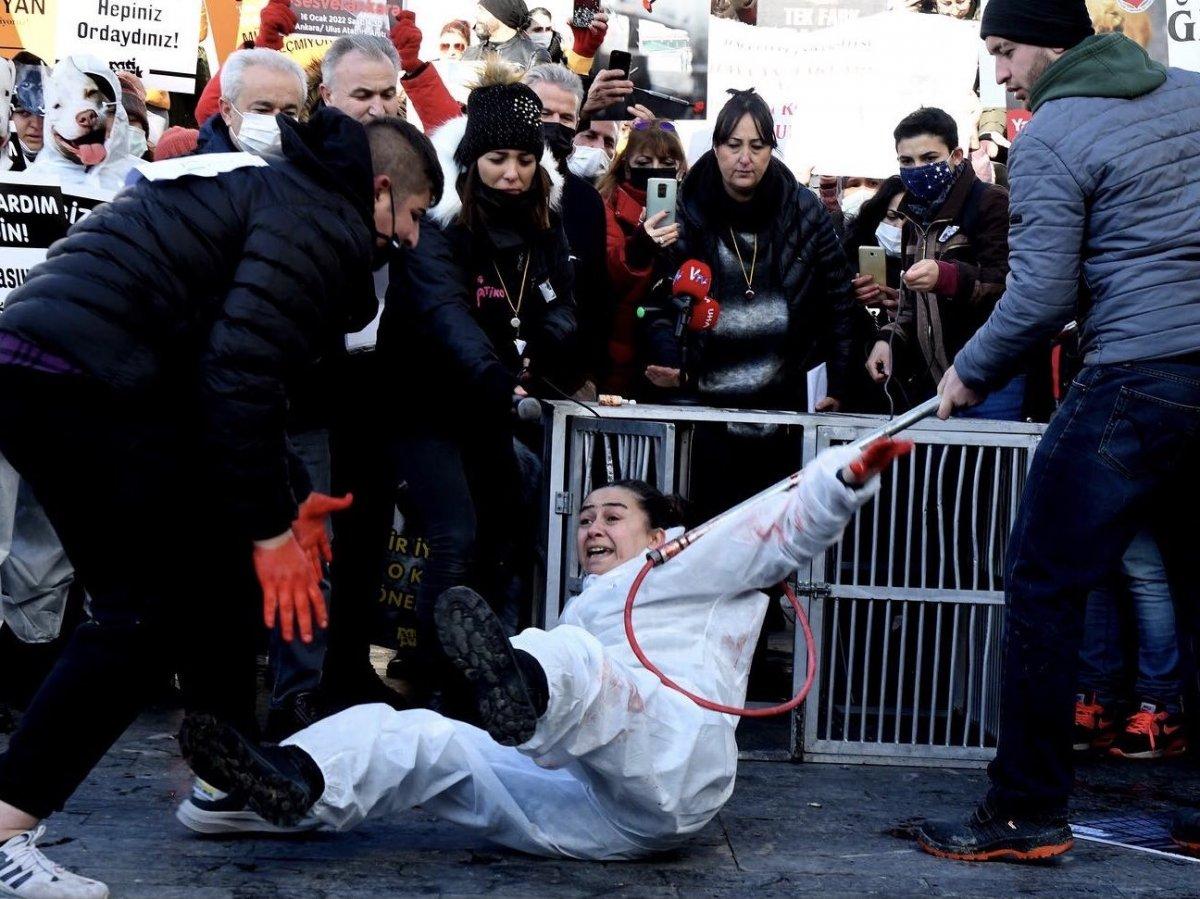 Ankara'da hayvanseverlerin 'köpekleri toplamayın' eylemi