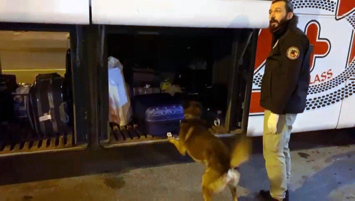 Adana'da valizinden 14 kilo esrar çıktı, 'haberim yok' dedi