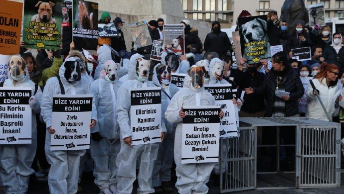 Ankara'da hayvanseverlerin 'köpekleri toplamayın' eylemi