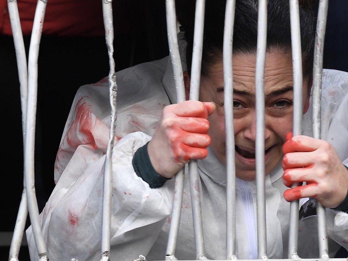 Ankara'da hayvanseverlerin 'köpekleri toplamayın' eylemi