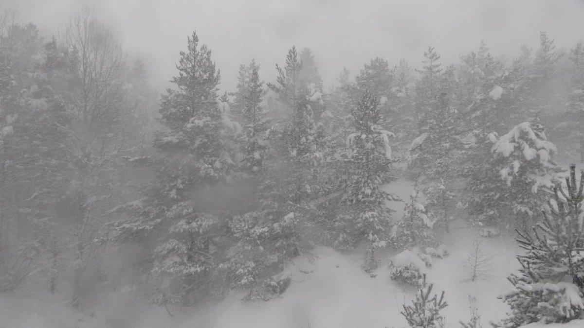 Kastamonu'da kar kalınlığı 60 santimetreyi geçti