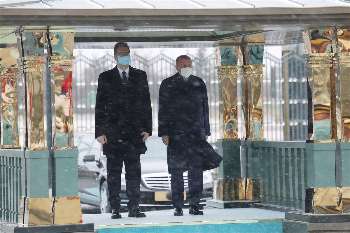 Cumhurbaşkanı Erdoğan, Sırp mevkidaşını karşıladı