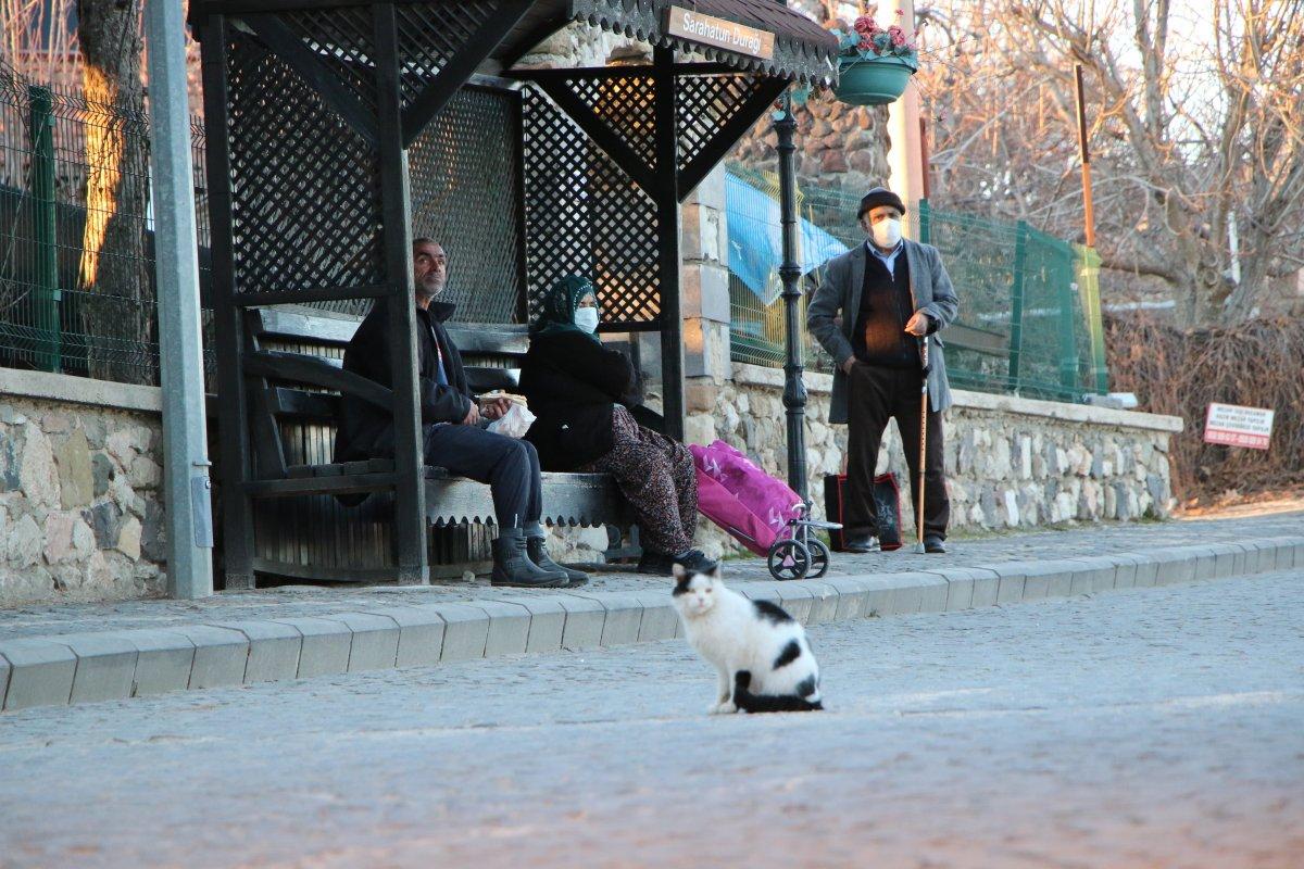 Elazığ'da kışa rağmen bahar havası yaşanıyor