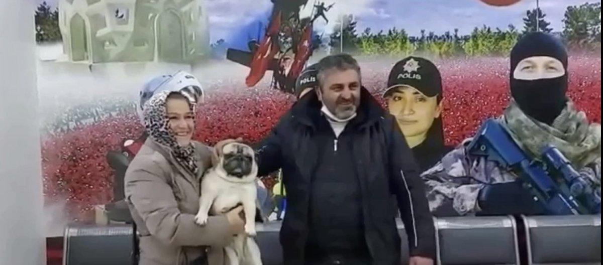 Beşiktaş'ta 'Gorbi' isimli köpeği çalan şüpheliler yakalandı