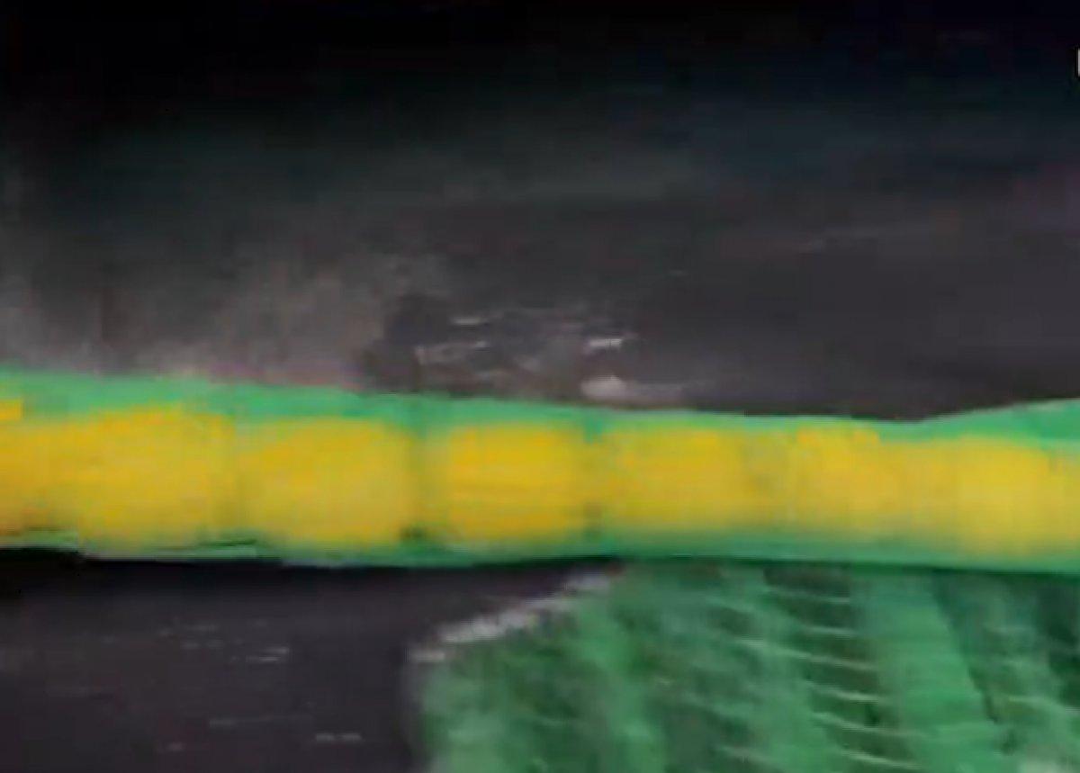 Çanakkale'de ağlara takılan 2 köpek balığı, denize salındı