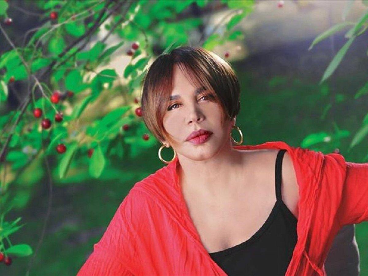 Sezen Aksu, şarkı sözleri nedeniyle hedefte