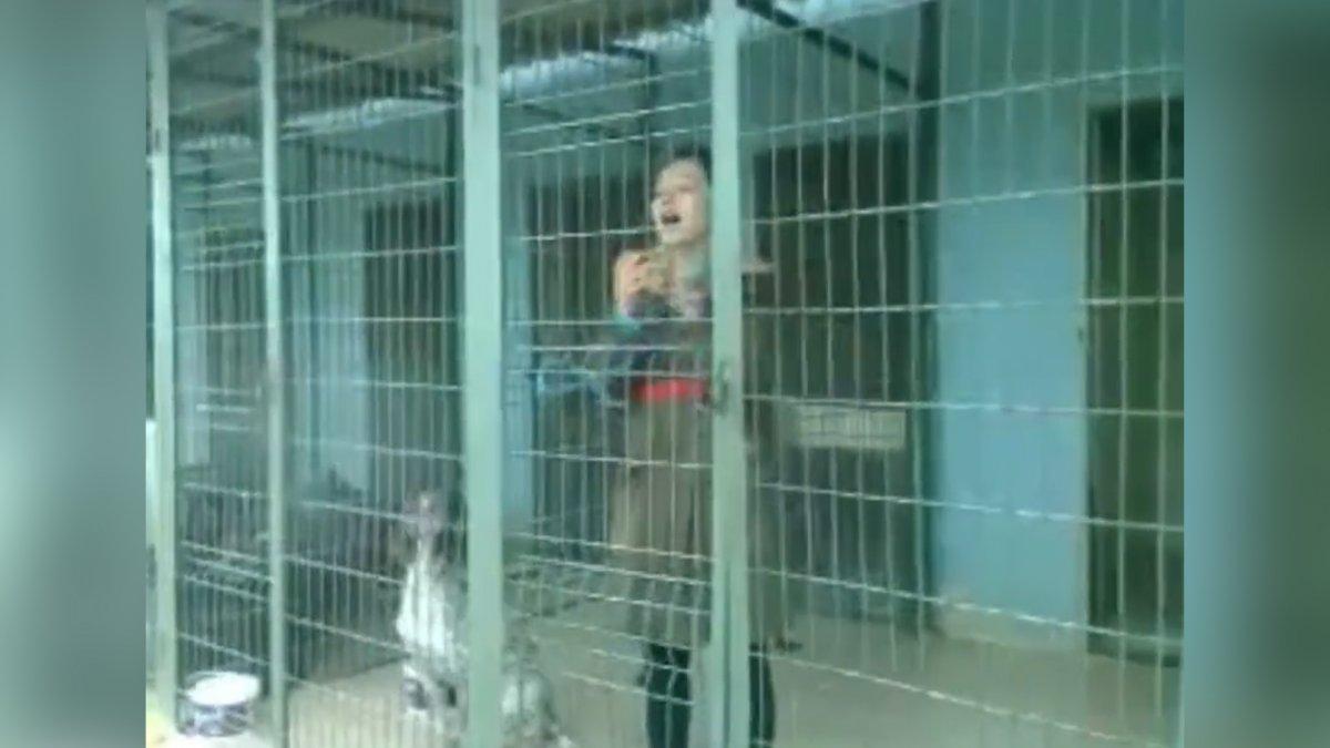 Ben bugün köpeklerin sesiyim diyerek 'havladı'