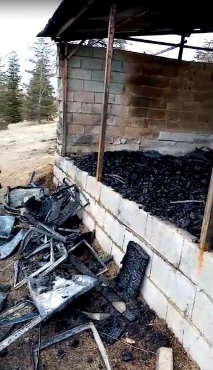 Kahramanmaraş’ta 150 kovan yangında kül oldu