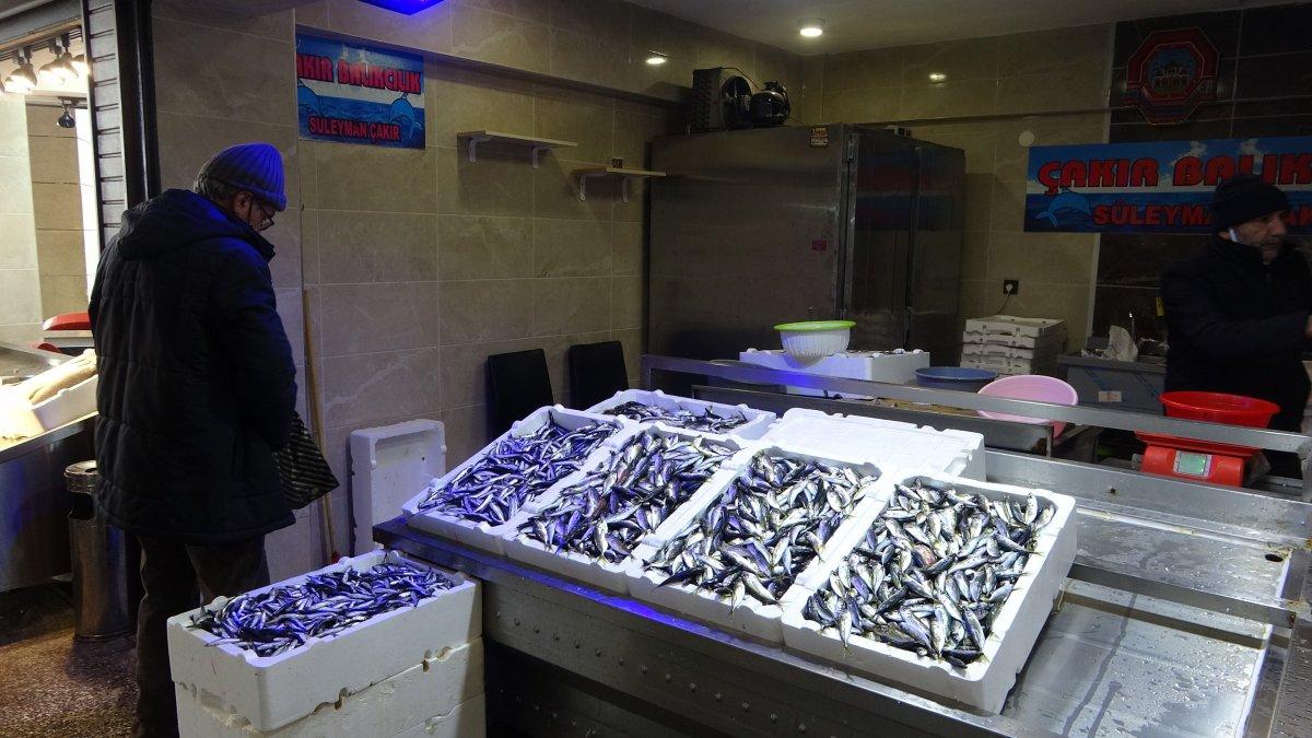 Trabzon'da Gürcü hamsisi, fiyatları düşürdü