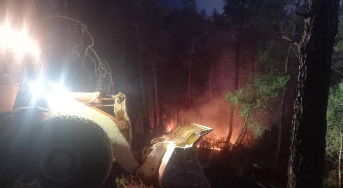 Muğla’da orman yangını